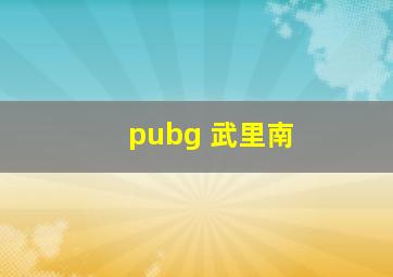 pubg 武里南